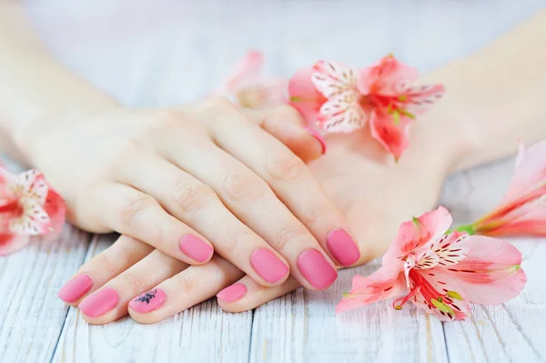 Handen met roze kleur nails manicure — Stockfoto