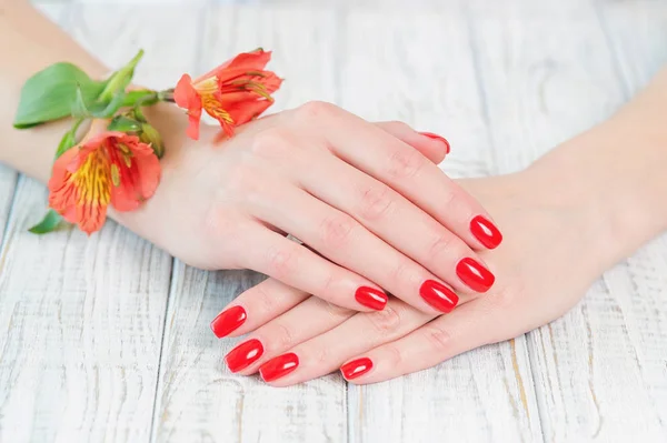 Mãos de mulher com bela manicura vermelha em unhas — Fotografia de Stock