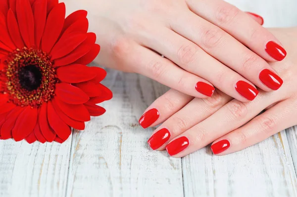 Vrouw handen met mooie rode manicure op nagels — Stockfoto