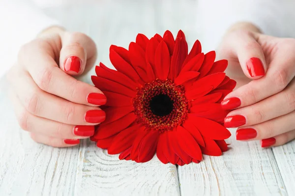 Mains de femme avec belle manucure rouge sur les ongles — Photo