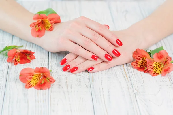 Mani donna con bella manicure rossa sulle unghie — Foto Stock