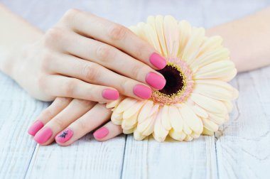 Güzel pembe keçeleşmiş manikür kadın elle