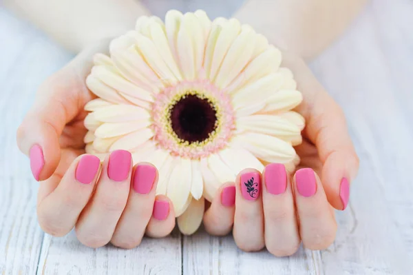 Mãos de mulher com bela manicure rosa mate — Fotografia de Stock