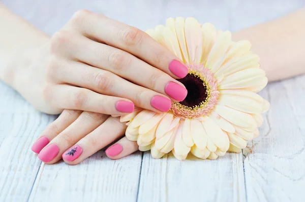 Mani donna con bella manicure rosa opaca — Foto Stock