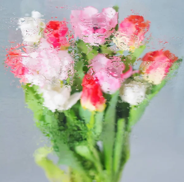 Background with flowers under water — Stock Photo, Image