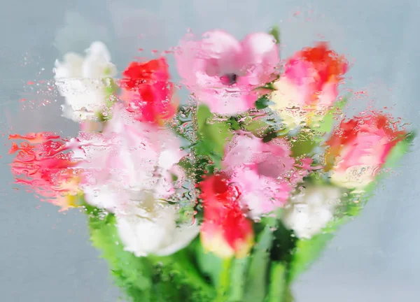 Fondo con flores bajo el agua — Foto de Stock