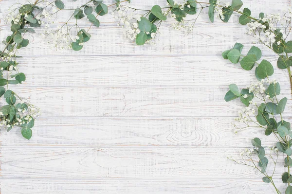 Natuurlijke bloemen frame met eucalyptus takken — Stockfoto