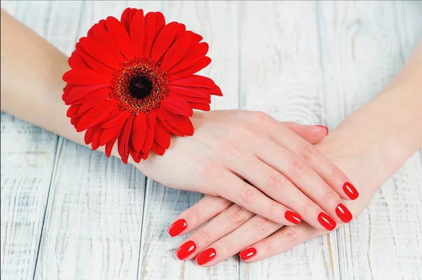 Vrouw handen met mooie rode manicure op nagels — Stockfoto