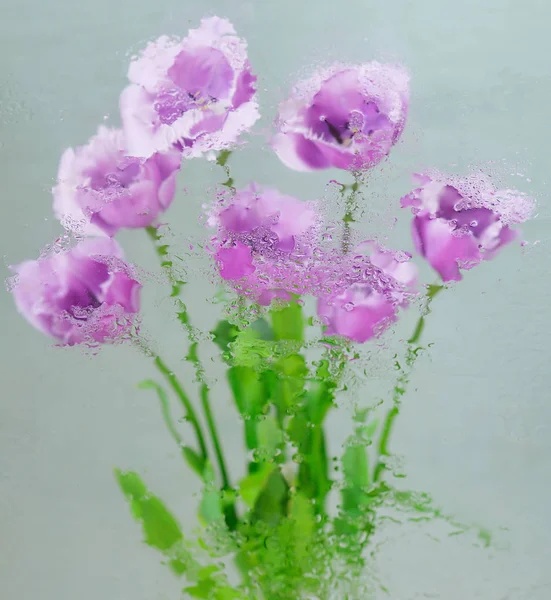 Hintergrund mit Blumen unter Wasser — Stockfoto