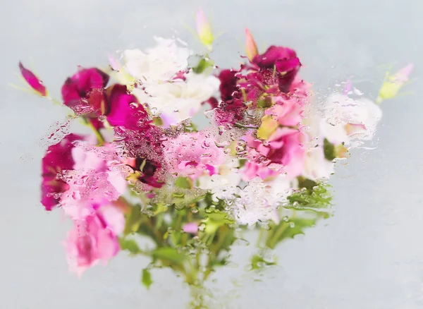 Fond avec des fleurs sous l'eau — Photo