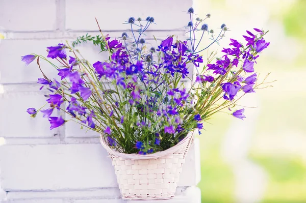 Belles fleurs sauvages — Photo