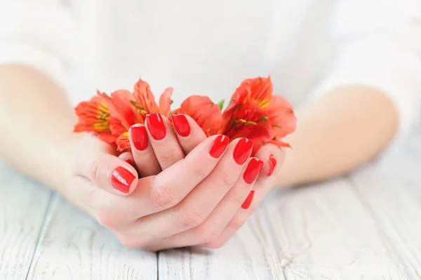 Ręce kobieta z piękny manicure czerwony na paznokcie — Zdjęcie stockowe