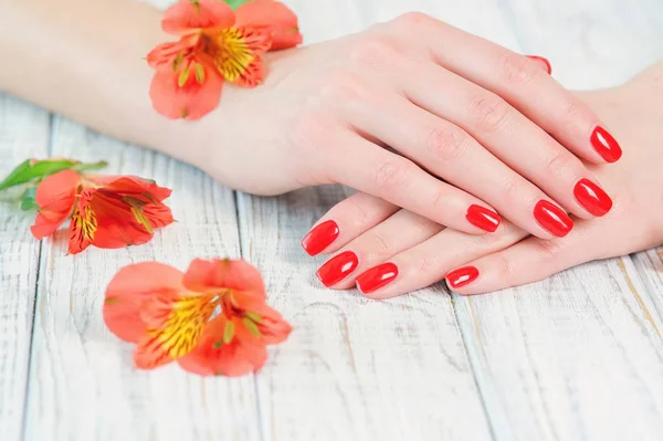 Mâini de femeie cu manichiură roșie frumoasă pe unghii — Fotografie, imagine de stoc