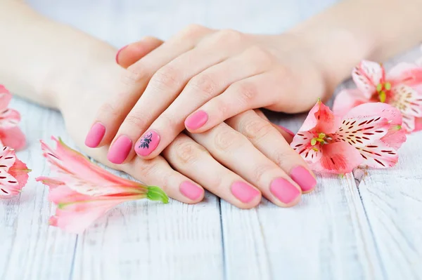 Vrouw handen met roze gematteerd manicure — Stockfoto