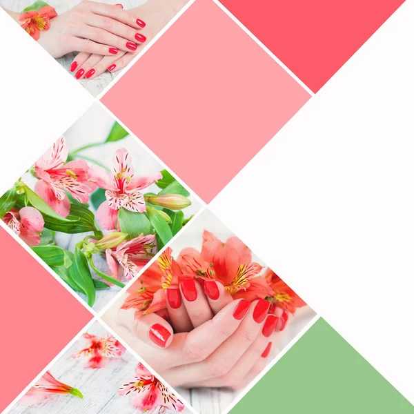 Koláž ruce žena červená manikúra a květiny — Stock fotografie