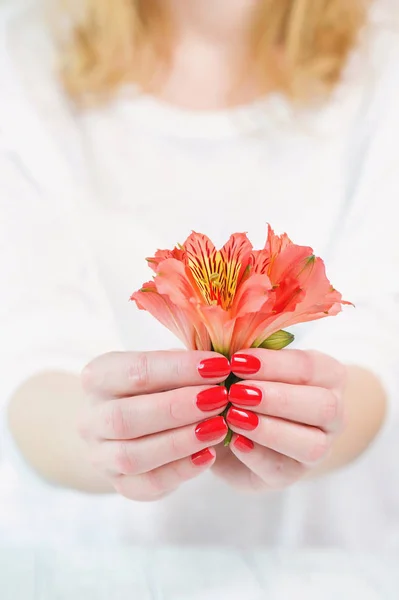 Manicure vermelho onfinge unhas e flores — Fotografia de Stock