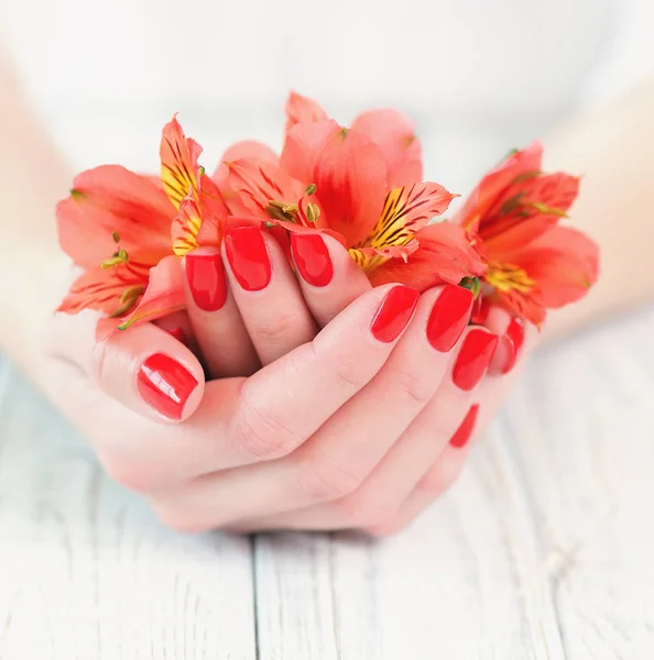 Red manicure onfinge nails and flowers — Stock Photo, Image