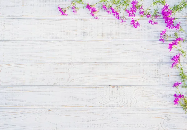 Floral frame with wild flowers over wood — Stock Photo, Image