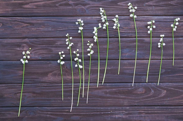 Felülnézet külön lily of the valley virágok — Stock Fotó