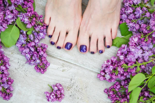Kvinnelige føtter med mørk lilla pedikyr og syriner – stockfoto