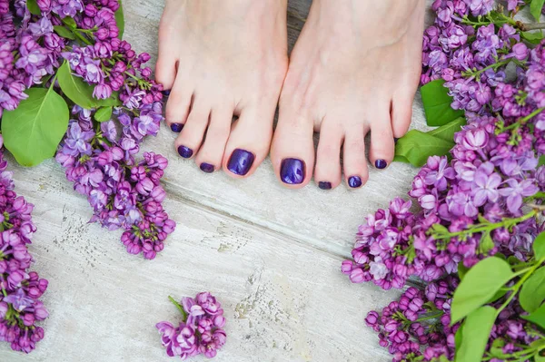 Frauenfüße mit dunkelvioletter Pediküre und Flieder — Stockfoto