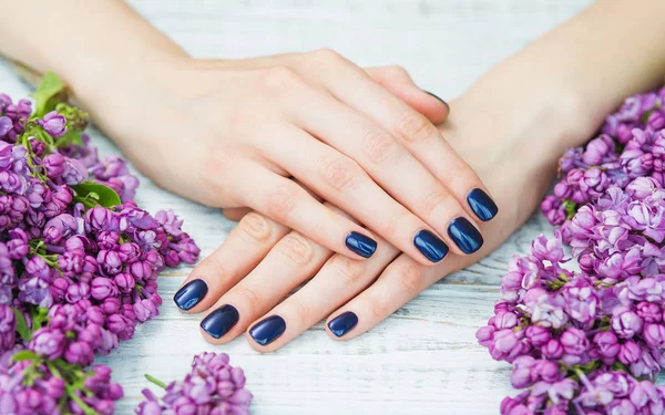 Woman hands with dark blue manicure and lilac flowers — Stock Photo, Image