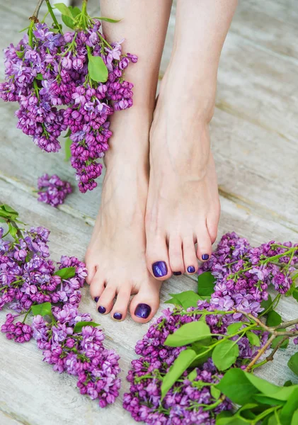 Kvinna fötter med mörkt lila pedikyr — Stockfoto