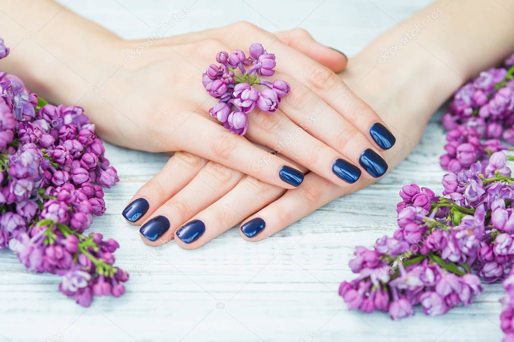 Woman hands with dark blue manicure and lilac flowers