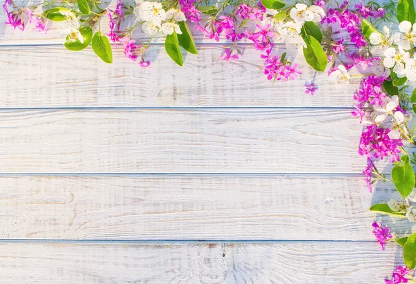 Kwiatowy ramki z białe i fioletowe dzikie kwiaty — Zdjęcie stockowe