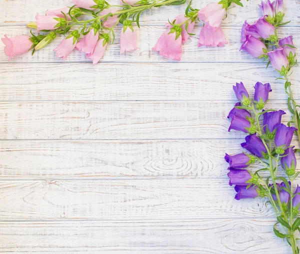 Bela moldura floral com flores de sino rosa e roxo — Fotografia de Stock