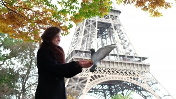 Pombos de alimentação turística com torre Eiffel no fundo — Vídeo de Stock