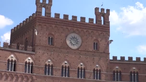 Siena Italy August Town Hall Main Square Piazza Del Campo — стоковое видео