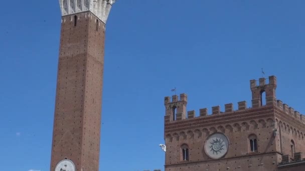 Siena Italia Agosto Ayuntamiento Plaza Principal Piazza Del Campo Agosto — Vídeos de Stock