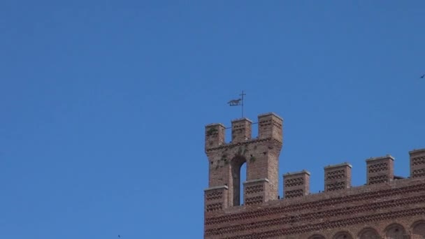 Siena Italia Agosto Palazzo Comunale Sulla Piazza Principale Piazza Del — Video Stock