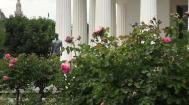 Vienna, Avusturya - Temmuz, 2017: Volksgarten (insanların Bahçe) Innere Stadt bölge Viyana Hofburg Sarayı parçasıdır ve 1823 halka açılan genel bir park olduğunu..