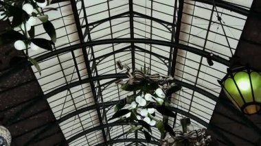 Londra, İngiltere - 20 Aralık 2016: Covent Garden pazarda, 4 k Noel süsleri alışveriş keyfini Ultrahd