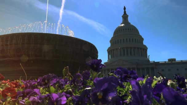Вашингтон Округ Колумбия Сша Около 2017 Года Капитолий Сша Часто — стоковое видео