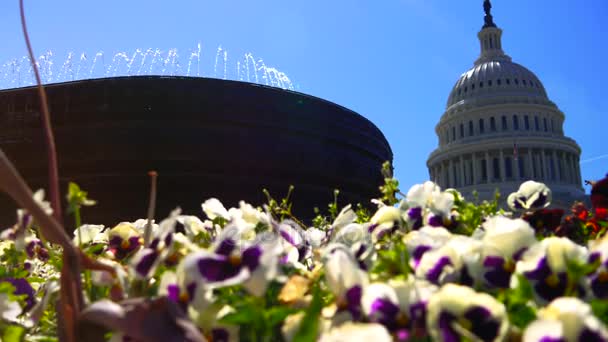 Washington Verenigde Staten Circa 2017 Ons Capitol Vaak Aangeduid Als — Stockvideo