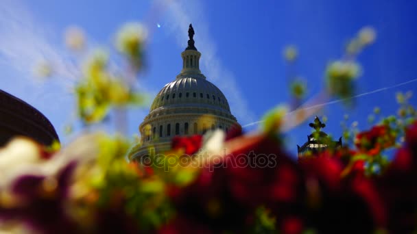 ワシントン アメリカ合衆国 2017 私たち国会議事堂 国会議事堂の建物と呼ばは 議会の家米国の連邦政府の立法府の座席 — ストック動画