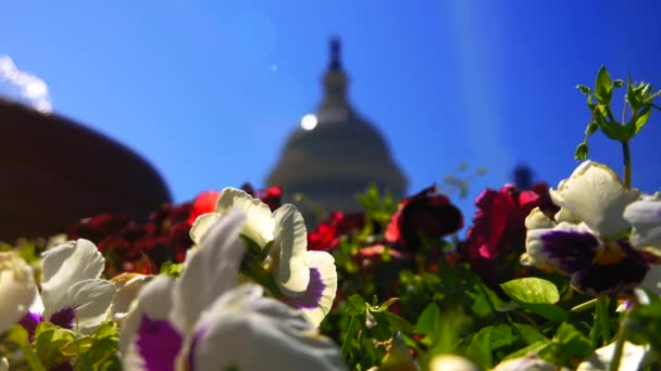 Washington Usa Circa 2017 Das Capitol Oft Als Kapitol Gebäude — Stockvideo