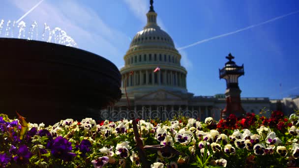 Washington Usa Circa 2017 Capitol Często Nazwie Capitol Building Jest — Wideo stockowe