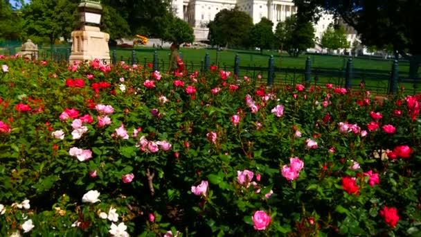 Washington Usa Circa 2017 Campidoglio Degli Stati Uniti Spesso Chiamato — Video Stock