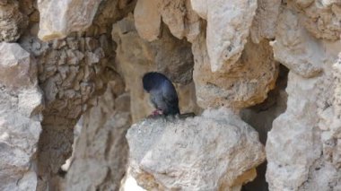 Barcelona, İspanya - Mayıs 2017 yaklaşık: A Parc Guell, kentin önemli turistik mekanlara, gerçek zamanlı, Barselona, İspanya, birini vurdu.