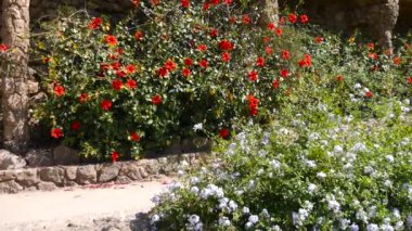 Barcelona, İspanya - Mayıs 2017 yaklaşık: A Parc Guell, kentin önemli turistik mekanlara, gerçek zamanlı, Barselona, İspanya, birini vurdu.