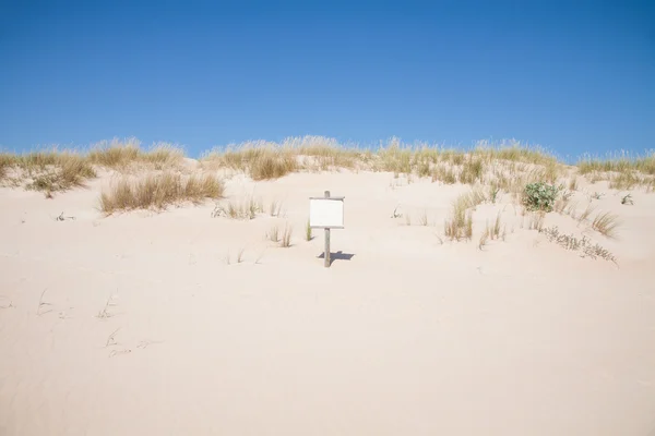ビーチの砂丘で空白のプラカード — ストック写真