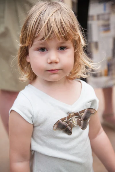 Criança com traça Samia Ricini borboleta em sua camisa — Fotografia de Stock
