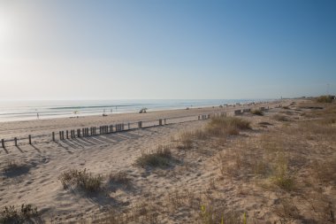 Palmar plaj manzara