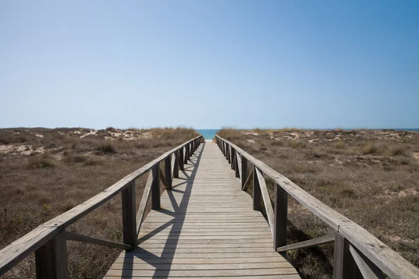 Trä sökväg till ocean horisontella — Stockfoto