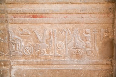 Egyptian hieroglyphs in Kom Ombo Temple clipart