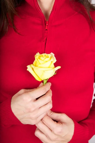 Yellow flower on red zipper — Stock Photo, Image